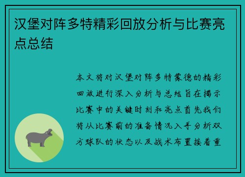 汉堡对阵多特精彩回放分析与比赛亮点总结