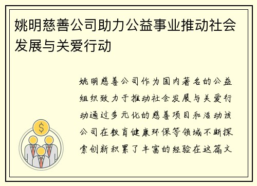姚明慈善公司助力公益事业推动社会发展与关爱行动