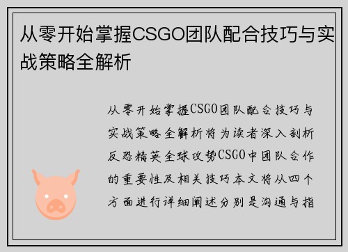从零开始掌握CSGO团队配合技巧与实战策略全解析