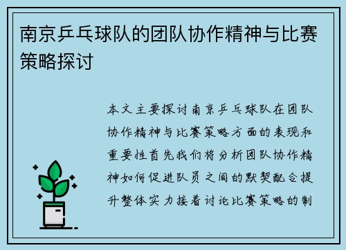 南京乒乓球队的团队协作精神与比赛策略探讨