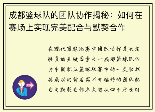 成都篮球队的团队协作揭秘：如何在赛场上实现完美配合与默契合作